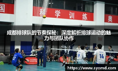 成都排球队的节奏探秘：深度解析排球运动的魅力与团队协作